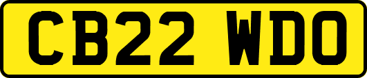CB22WDO