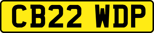 CB22WDP