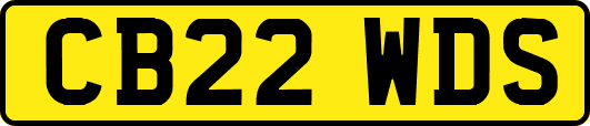 CB22WDS