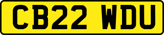 CB22WDU