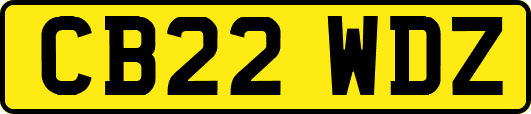CB22WDZ