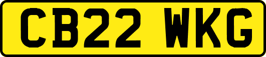 CB22WKG