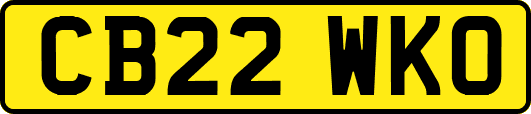 CB22WKO