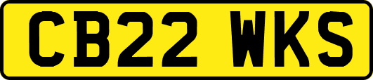 CB22WKS