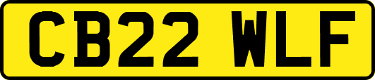 CB22WLF