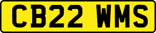 CB22WMS
