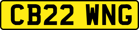 CB22WNG