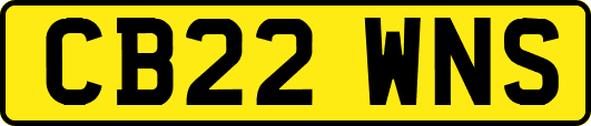 CB22WNS