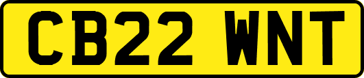 CB22WNT