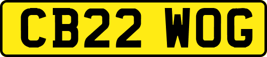 CB22WOG