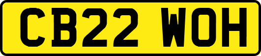 CB22WOH