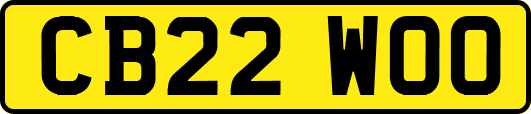 CB22WOO