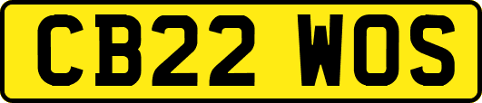 CB22WOS