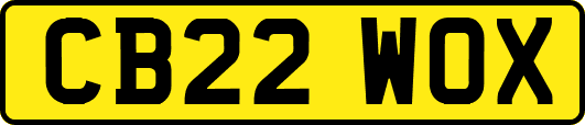 CB22WOX