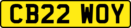 CB22WOY