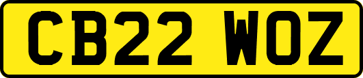 CB22WOZ