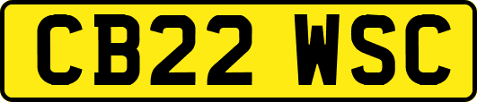 CB22WSC