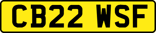 CB22WSF