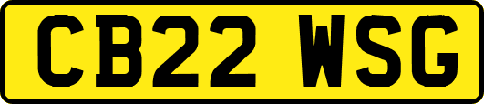 CB22WSG