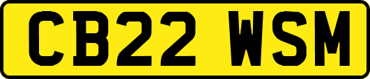 CB22WSM