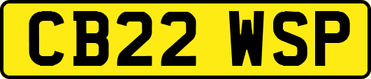 CB22WSP