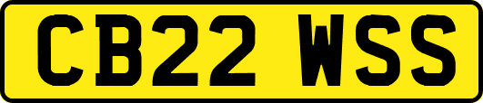 CB22WSS