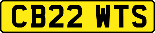 CB22WTS