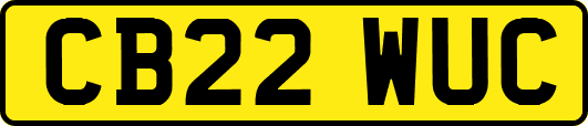 CB22WUC