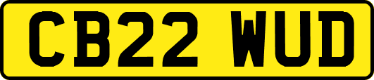 CB22WUD