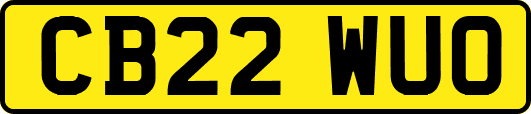 CB22WUO