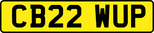 CB22WUP
