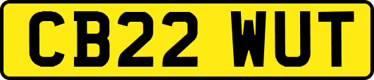CB22WUT