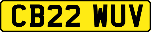 CB22WUV