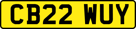 CB22WUY