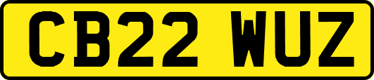 CB22WUZ