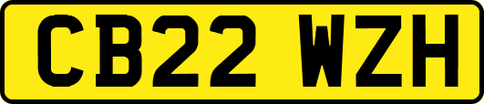 CB22WZH