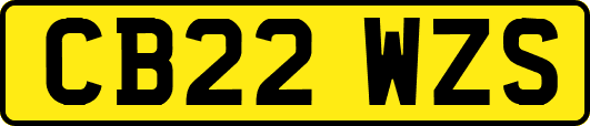 CB22WZS