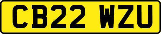 CB22WZU