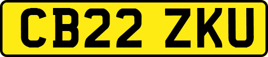 CB22ZKU
