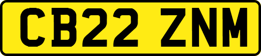 CB22ZNM