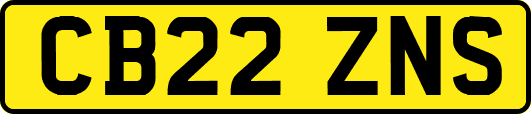 CB22ZNS