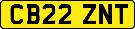 CB22ZNT