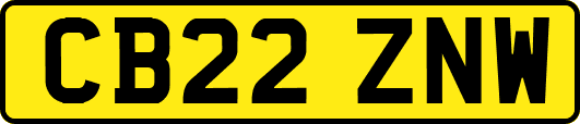CB22ZNW