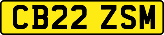 CB22ZSM