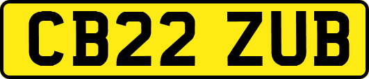 CB22ZUB