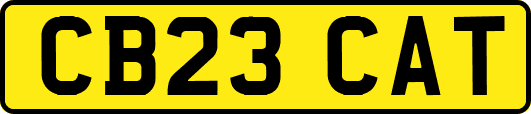 CB23CAT
