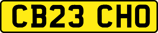 CB23CHO