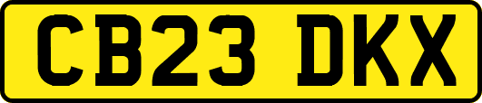 CB23DKX