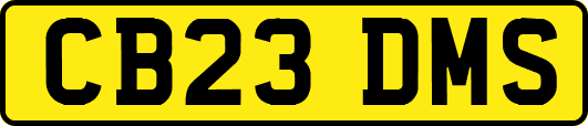 CB23DMS