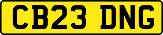 CB23DNG